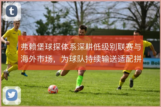 弗赖堡球探体系深耕低级别联赛与海外市场，为球队持续输送适配拼图