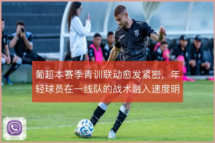 葡超本赛季青训联动愈发紧密，年轻球员在一线队的战术融入速度明显加快