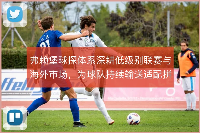 弗赖堡球探体系深耕低级别联赛与海外市场,为球队持续输送适配拼图