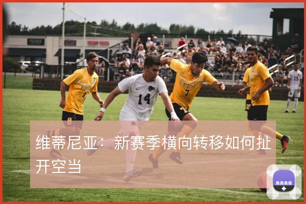 维蒂尼亚：新赛季横向转移如何扯开空当